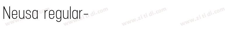 Neusa regular字体转换